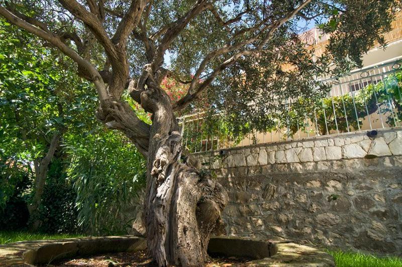 Holiday Home Duje Trogir Eksteriør billede
